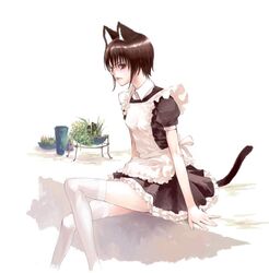 Post 2080430
