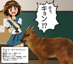 Post 2080841