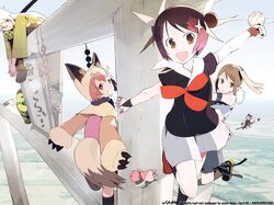 Post 2080321
