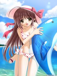 Post 2083547