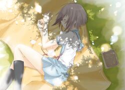 Post 2084836