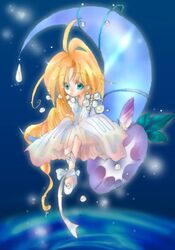 Post 2084320