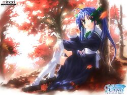 Post 2086716