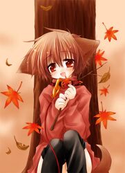 Post 2086037