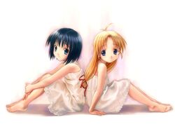 Post 2088058