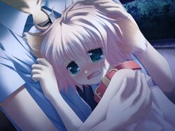 Post 2088271