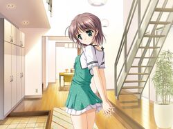Post 2088348