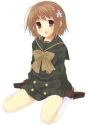 Post 2089615