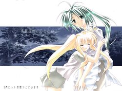 Post 2089302