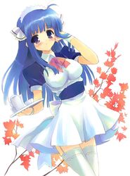 Post 2090633