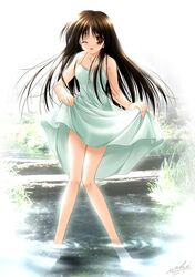 Post 2093424