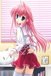 Post 2093304