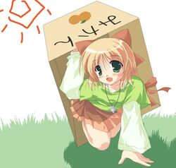 Post 2095031