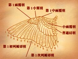 Post 2095623