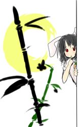 Post 2099918