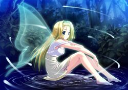 Post 2100973