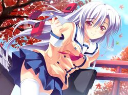 Post 2101539
