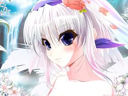Post 205044
