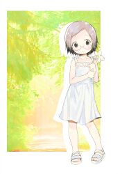 Post 5618252