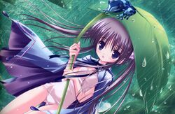 Post 205554
