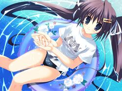 Post 206518