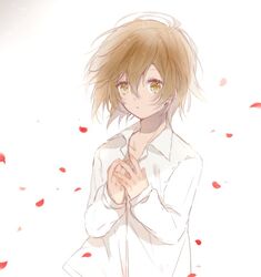 Post 2161070