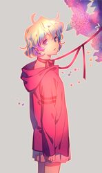 Post 2162543