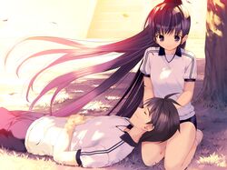Post 207969