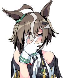 Post 6504246