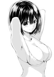 Post 2222758