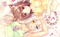 Post 2227504