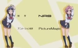 Post 213518