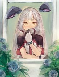Post 2238227