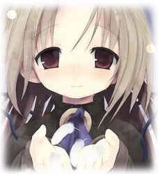Post 215063