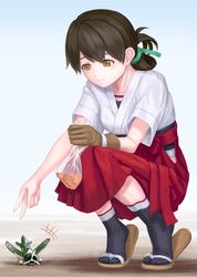 Post 2243411