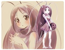 Post 2243836
