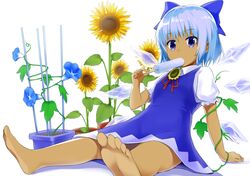 Post 2250999