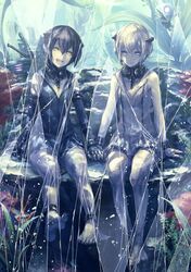 Post 2260571
