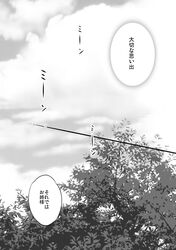 Post 2289151