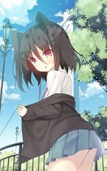 Post 2289208