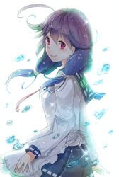 Post 2290927