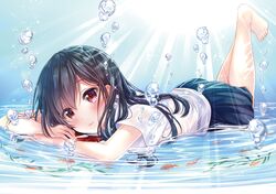 Post 2307077
