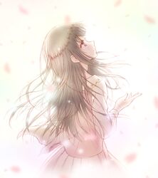Post 2318554