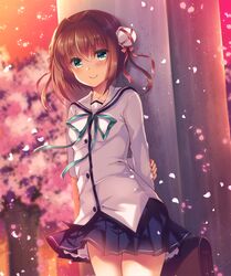 Post 2423053