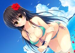 Post 2370821