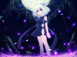 Post 227907