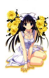 Post 227755