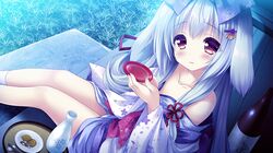 Post 2400136