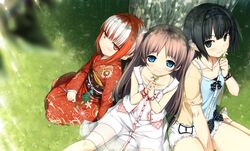 Post 2409232