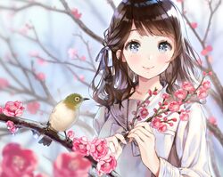 Post 2413008